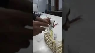 plug in the cotton plug in test tube