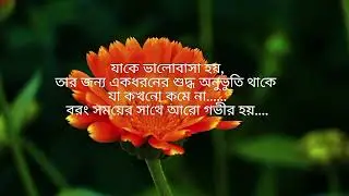 ইমোশনাল ক্যাপশন ভিডিও || JH Status || Sad Caption Video That Touches the Heart.