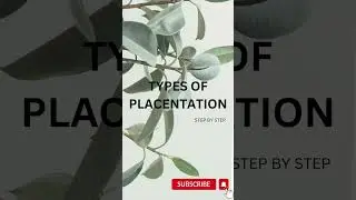 TYPES OF PLACENTATION