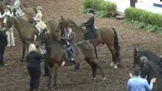 2016 Morgan Grand National - Kaitlyn & Twister - Class 311