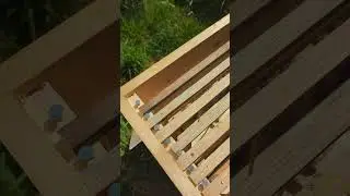 Honey bees building comb in homemade waxless hives.