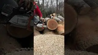 Stihl ms261 She&rsquo;s a screamer!
