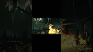 #darksouls2#soulsborne#games#gaming#gameplay#fromsoftware#eldenring#memes#gamer#meme#game#gamers#gam