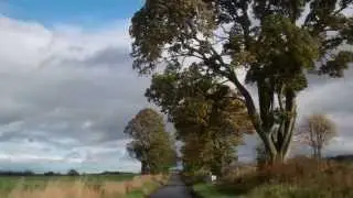 Autumn Drive To Newtyle Angus Scotland