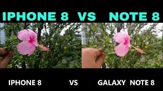 IPHONE 8 PLUS vs NOTE 8 CAMERA review