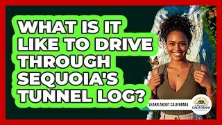 What Is It Like To Drive Through Sequoia's Tunnel Log? - Learn About California