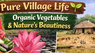 Pure Village Life🌱|#villagevibes Organic Vegetables & Nature’s Beautiness/Mama ko ghargaon ma ghumnu