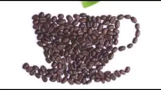 Cafection Coffee Brewers: The Total 1 & the Total Lite