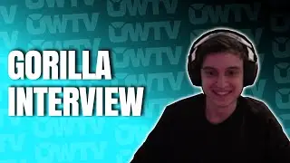 Горилла: 