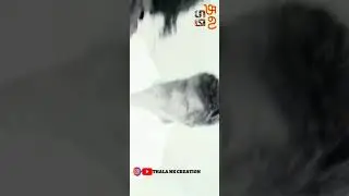 THALA birthday status Tamil | thala mass what's app status||#thalamass #mass video || #thalavideos