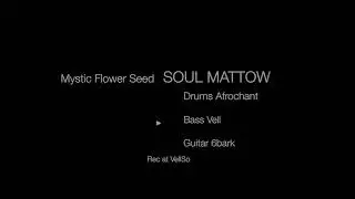 Mystic Flower Seed   SOUL MATTOW