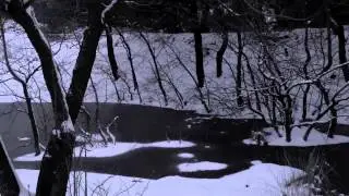 gENERATORS - tHE fOUR sEASONS oF tECHNO (tHE wINTER)