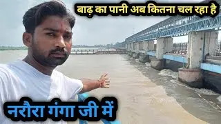 बाढ़ का पानी अब कितना चल रहा है नरौरा गंगाजी में ll Narora Ganga ji 