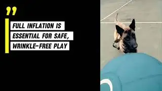 The Right Way to Inflate CollieBall Original Herding Ball | Avoid Damage!
