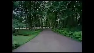 Blade 200 QX with HobbyKing Super Simple Mini OSD