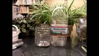 DIY Mini Greenhouse For Seed Starting