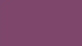 814D6B Disney Color's 