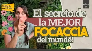 Focaccia: buena, fácil y bonita🌺