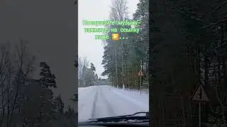🎄Январь дорога к морю ❄️