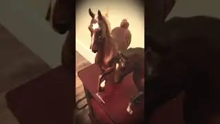 Breyer music video Backwards by Rascal Flatts