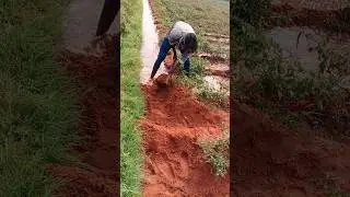 🌱 Village Farmer Hard Work | Agriculture Shorts #Farmer #VillageLife #Agriculture #NatureShorts #🌾🙏🙏
