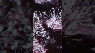 Psychedelic trip # 27 Short