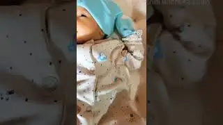 baby laan new videos #baby #babyshorts #babyboy #babyvideos #photography #babylove #laan#shazlaan