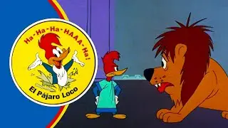 ¡Woody contra un león! 🦁 | El Pájaro Loco