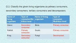 Class 9th Bridge course | ACTIVITY 12 |science|English | ECOSYSTEM
