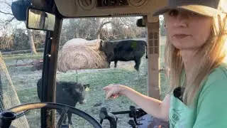Hay SZN1 E10. No Issues With This Hay Delivery. Moo.