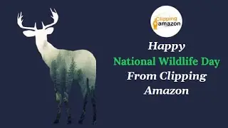 National Wildlife Day: Wildlife Day/Happy National wildlife day 2021/National Wildlife day Facts