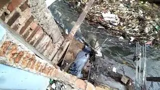 CONTOH PERUSAKAN DAS CITARUM