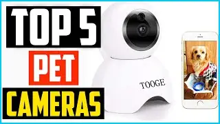 ✅Top 5 Best Pet Cameras in 2024 Reviews