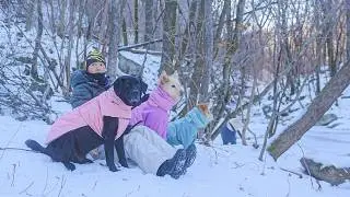 눈 쌓인 숲속, 강아지들과 보낸 하룻밤