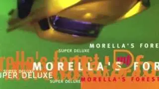 Lush of Spring - Morella's Forest