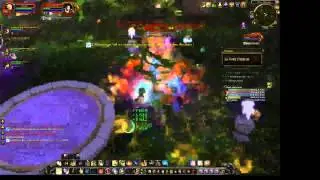 Everbloom NM - Paltank PoV - Archmage Sol