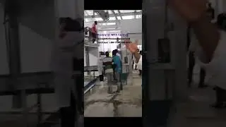 Cattle slaughter line slaughterhouse equipment for abattoir equipment