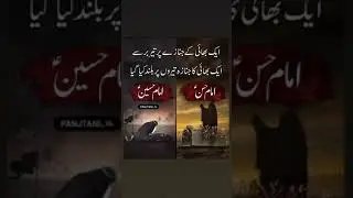 28 Safar Shahadat Imam Hassan Noha Status SUBSCRIBE #Panjtani_14