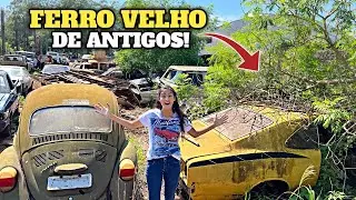 FERRO VELHO COM MUITOS CARROS ANTIGOS!
