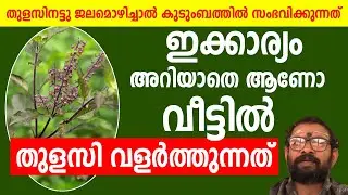 തുളസിനട്ടു ജലമൊഴിച്ചാല്‍ കുടുംബത്തില്‍ സംഭവിക്കുന്നത്
