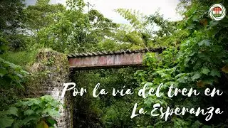Recorriendo el Ferrocarril de Girardot en La Mesa, inspección La Esperanza | La Tornamesa (Parte 1)