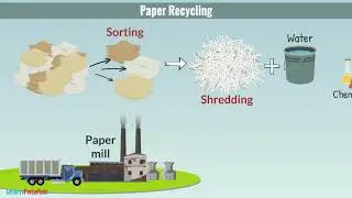 Recycling of Paper | Science