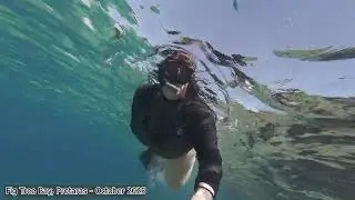 Snorkelling in Fig Tree Bay, Protaras, Cyprus - 6th October 2025 [4K]