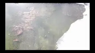 Amazing Alberta Drone Footage Wabamum Lake Mavic Mini Drone 2.7k