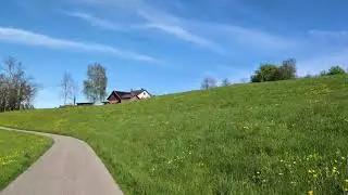 proT&uuml;bach   Waldegg