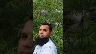 swat abshar