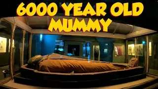 Jaipur Museum's 6000-Year-Old Mummy - A Journey into Ancient Mysteries