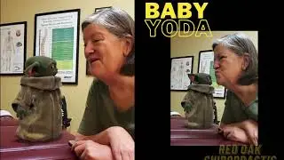 Chiropractor Red Oak TX |  Baby Yoda Visit's at Red Oak Chiropractic & Therapy
