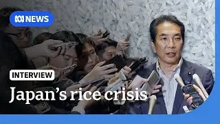 Why a joke about rice cost a Japan cabinet minister his job | The World | ABC NEWS
