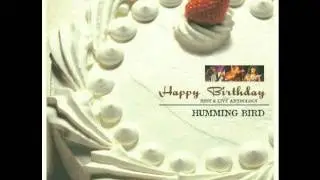HUMMING BIRD - DREAM JACK